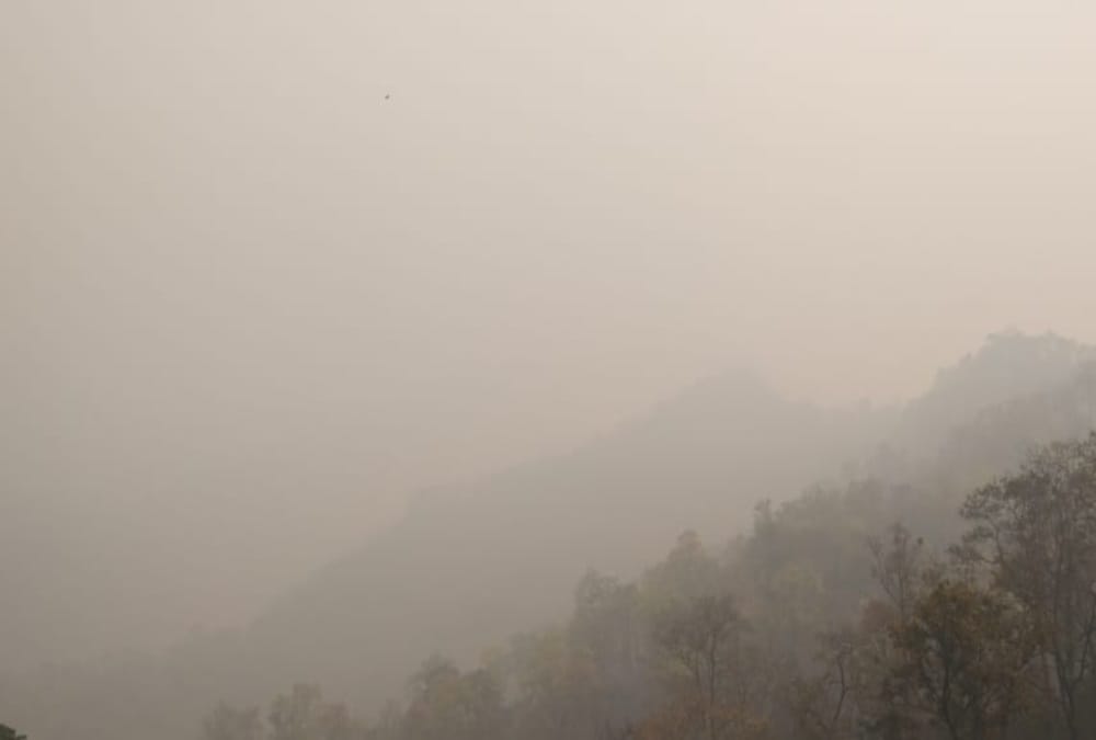 School office closed due to sand storm in Iran and journalist shot dead in Pakistan, read hindi news