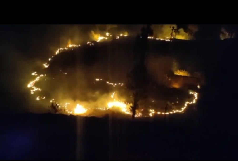 Uttarakhand Forest Fire News Today: Approx 94 hectares forest burned Even Rainfall