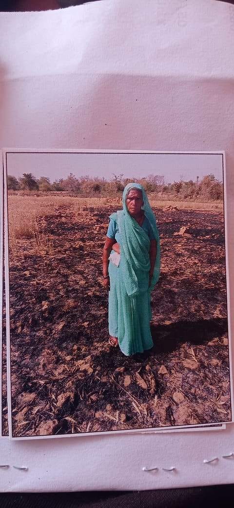 wheat crop burned by hightension line fault