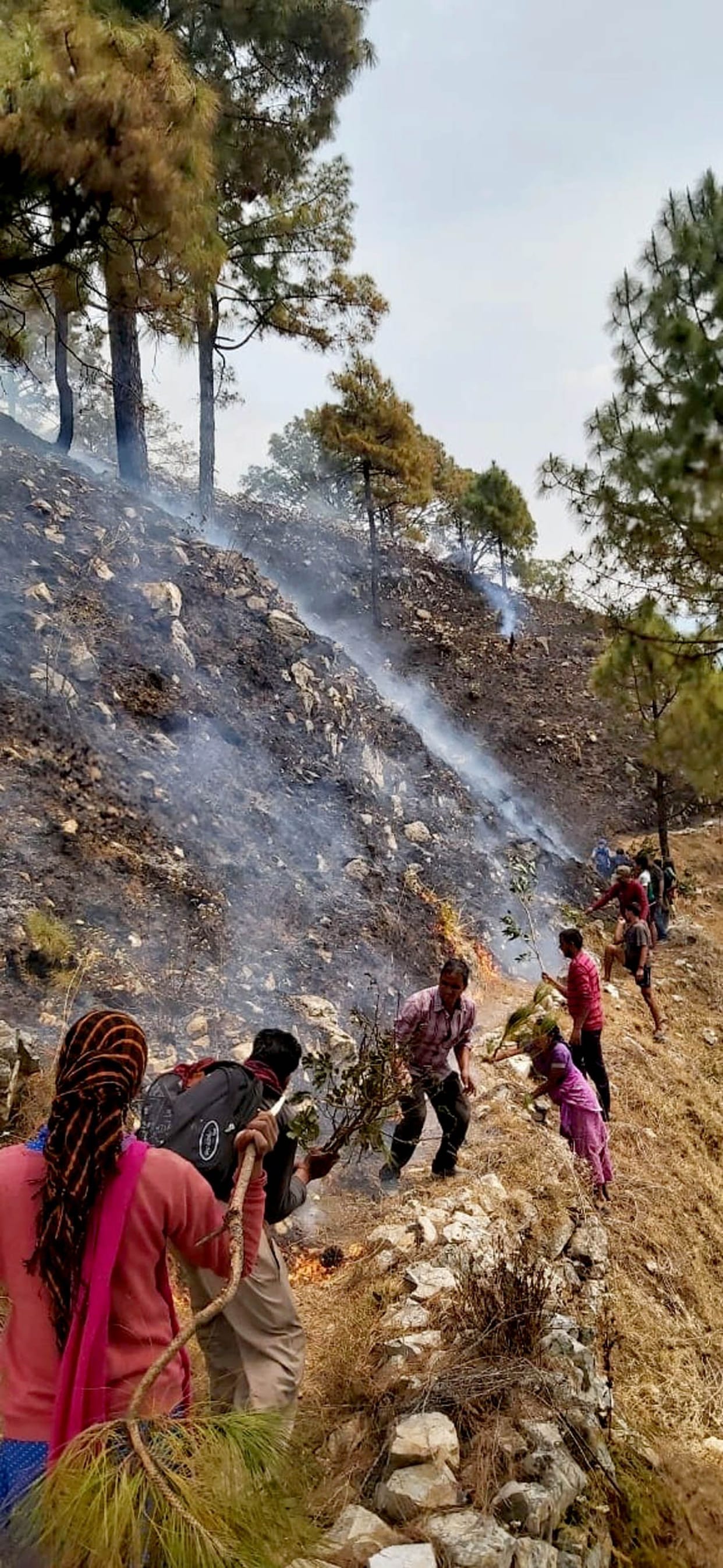 Villagers rescued the forest of Banj-Burhans from fire
