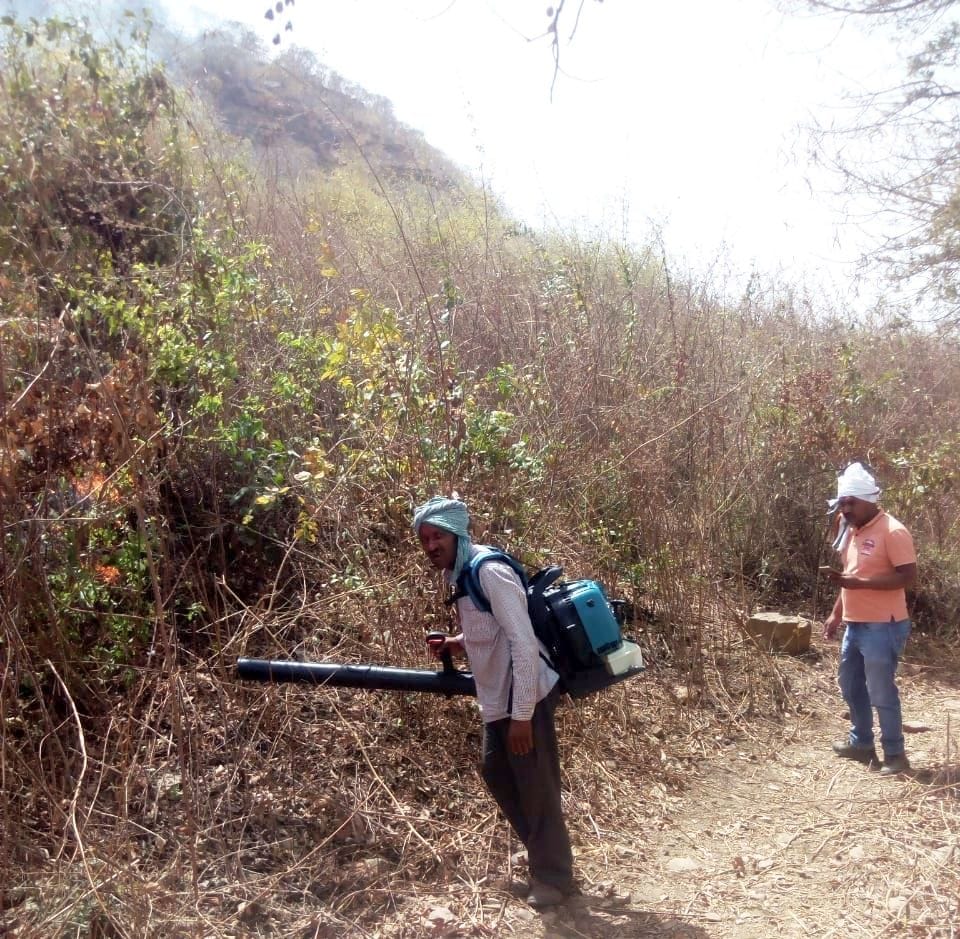 Up Board,fire,train,MP,forest