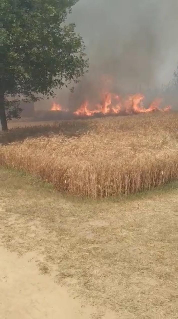 Fire in four places in the district, wheat crop burnt in Rasulpur
