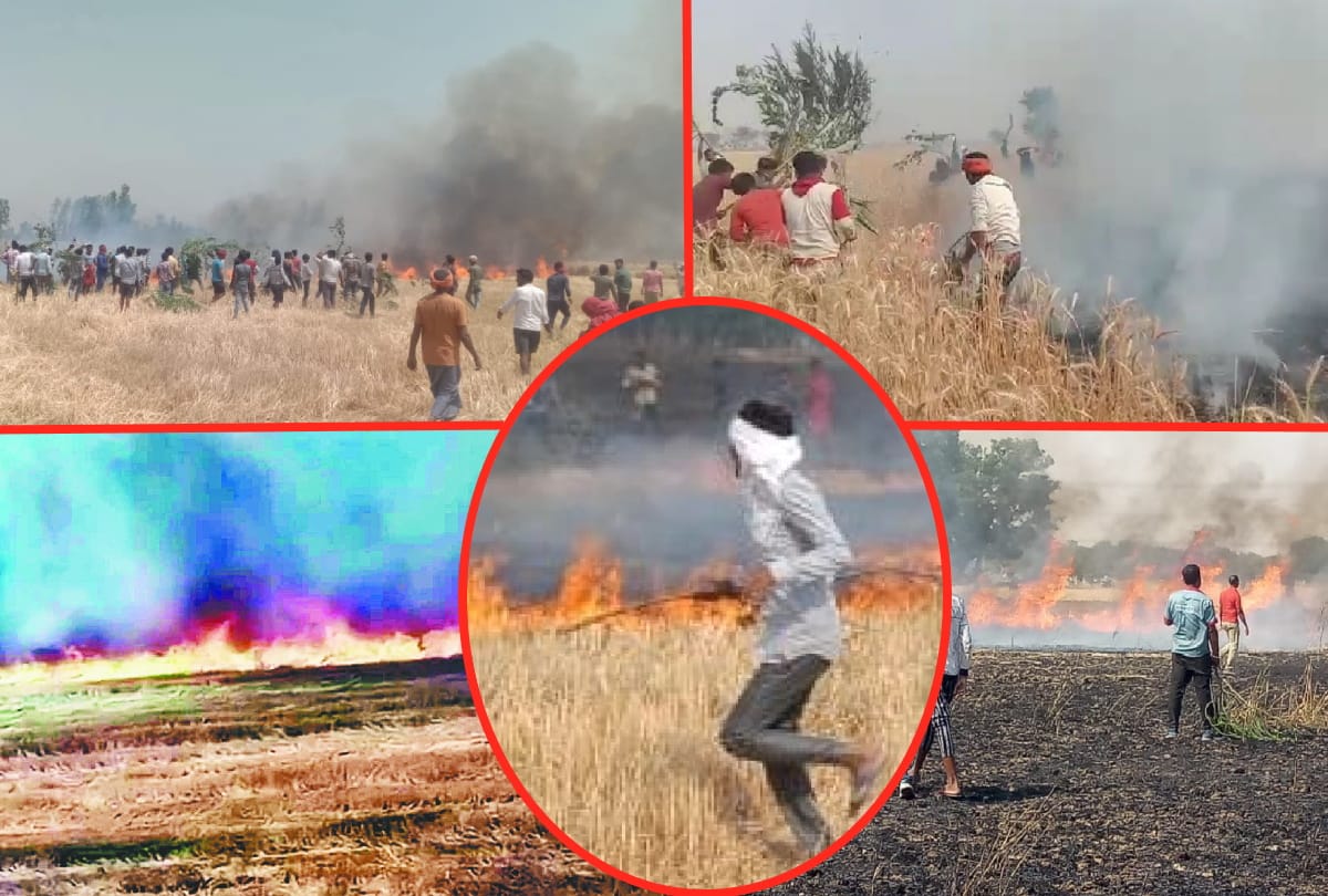 Farmers upset after crop destroyed due to fire in gorakhpur