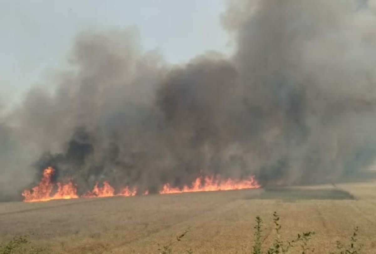 Jammu and Kashmir: Wheat is in danger, crops in around 200 kanal lands caught fire