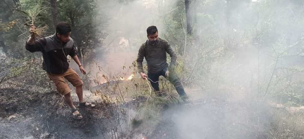 The forests are burning with fire, the valley in the mist of mist