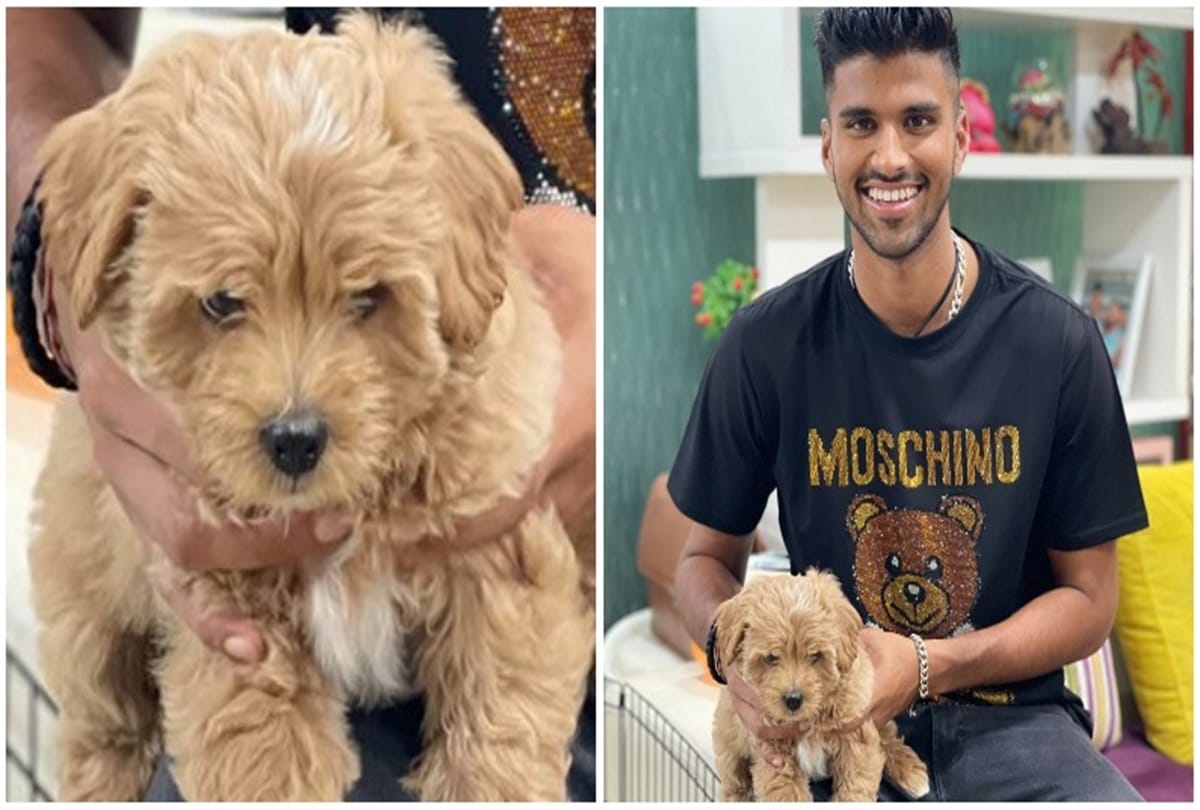 Washington Sundar named his pet dog Gabba