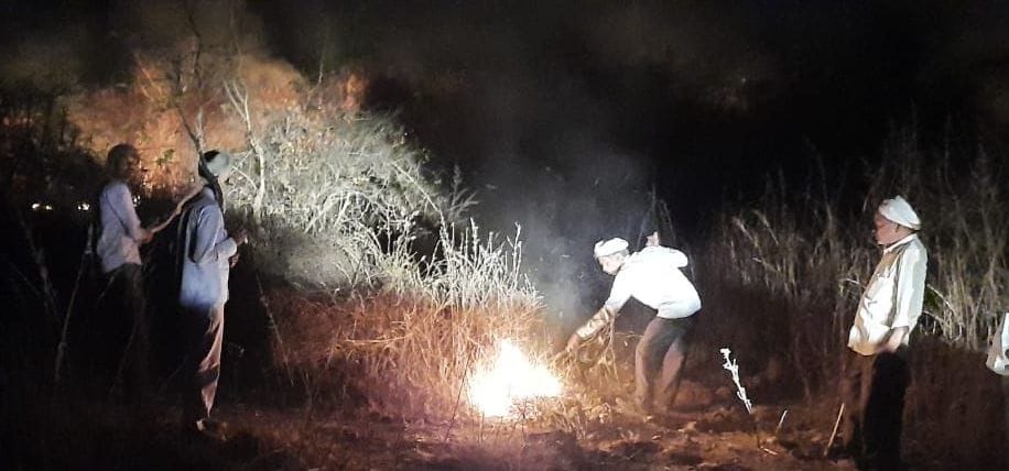 fire,train,forest,RPF,passages