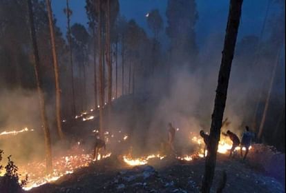Uttarakhand Forest Fire: तेज हवाओं से फैली लपटें, 24 घंटें में 25 जगह धधके जंगल Uttarakhand Flames spread by strong winds, forests blazed at 25 places in 24 hours
