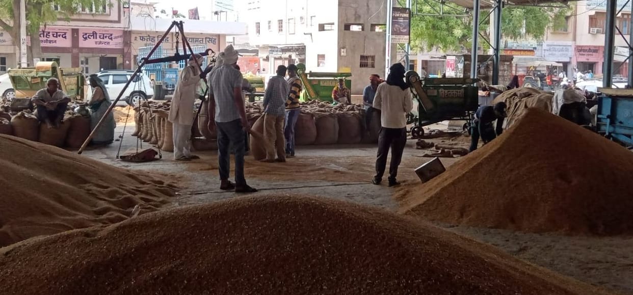 Government procurement of wheat did not happen due to moisture