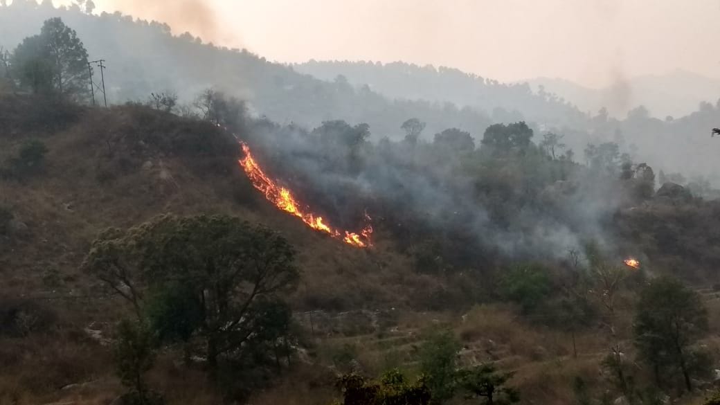 34 hectares of forest burnt in 54 places