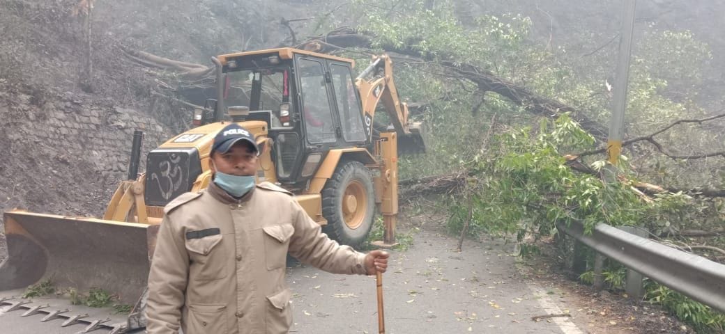 Four hours jammed by falling trees on the highway