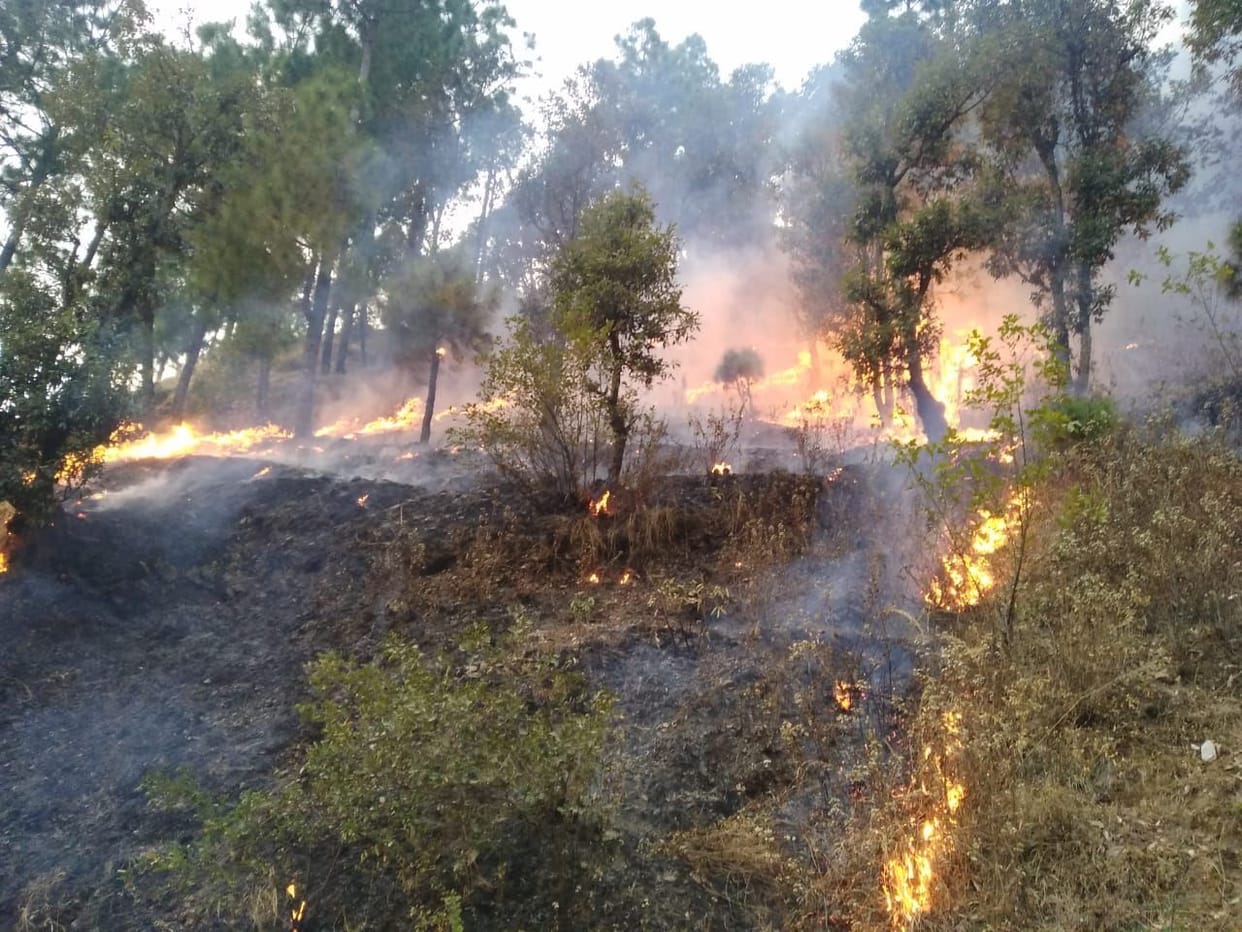 Fire in the jungles of Chadkhola, Mayawati Ashram and Forti