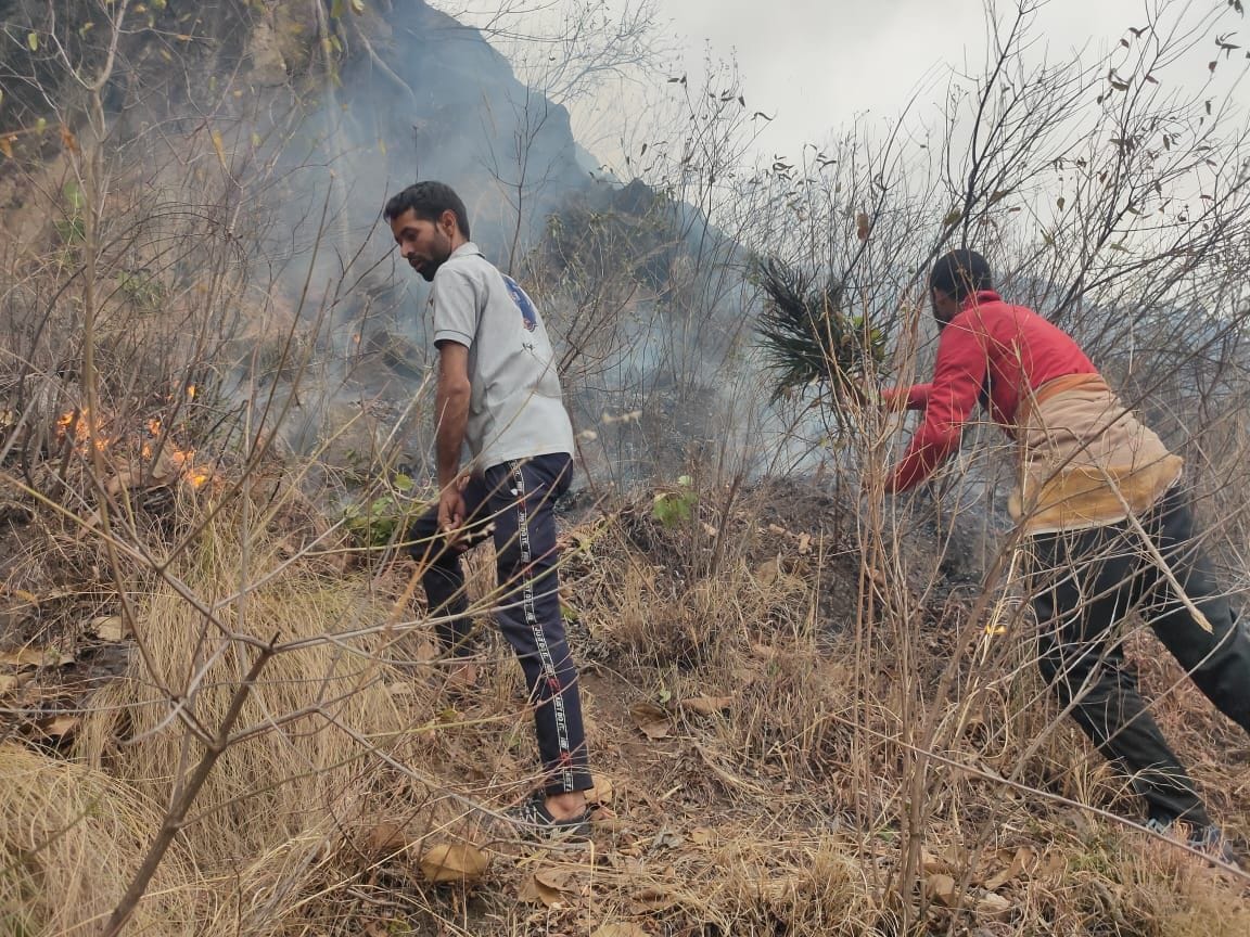 boys controled forest fire in bilaspur