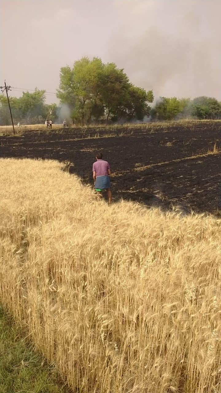 Crop and house fire