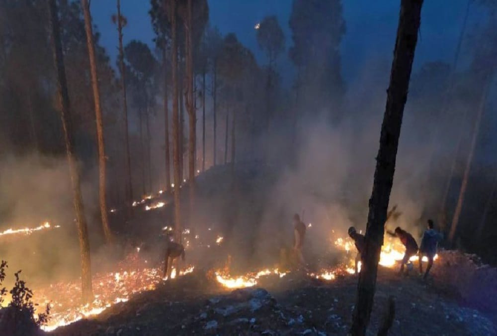 Uttarakhand Forest Fire News: Approx 105 hectares forest burned in 12 hours, now Keep Eye from satellite