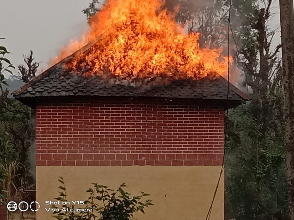 Cattle burnt to ashes from short circuit at Kandoh