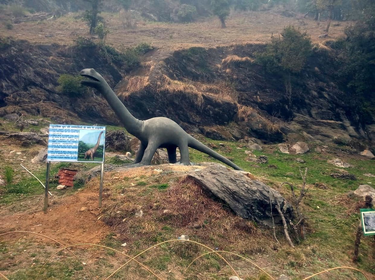 Lichen Park Munsyari