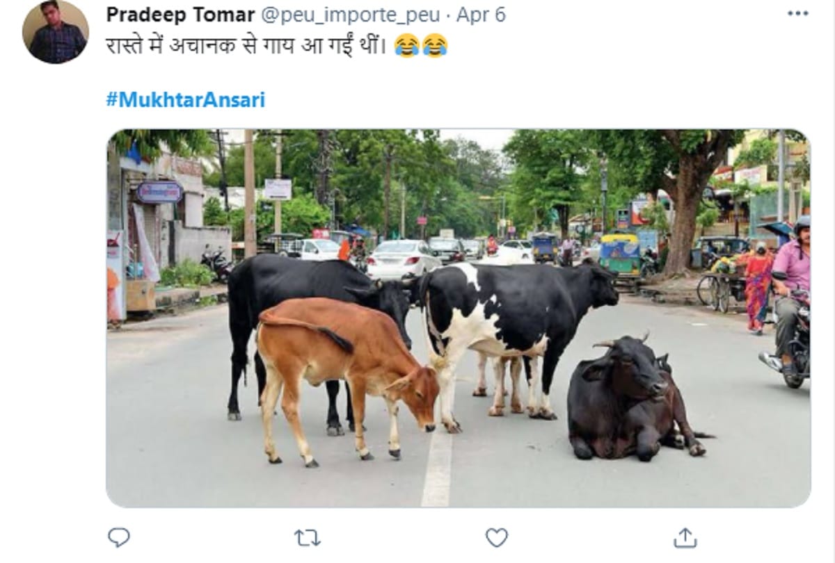 UP police to shift Mukhtar Ansari from Ropad to Banda jail funny memes on social media
