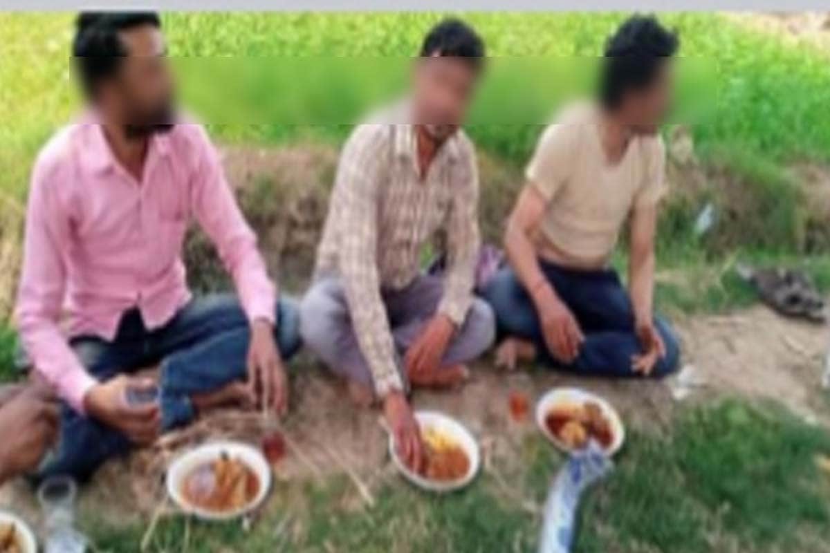 Panchayat elections intensified, davat  starts, liquor party being given in fields