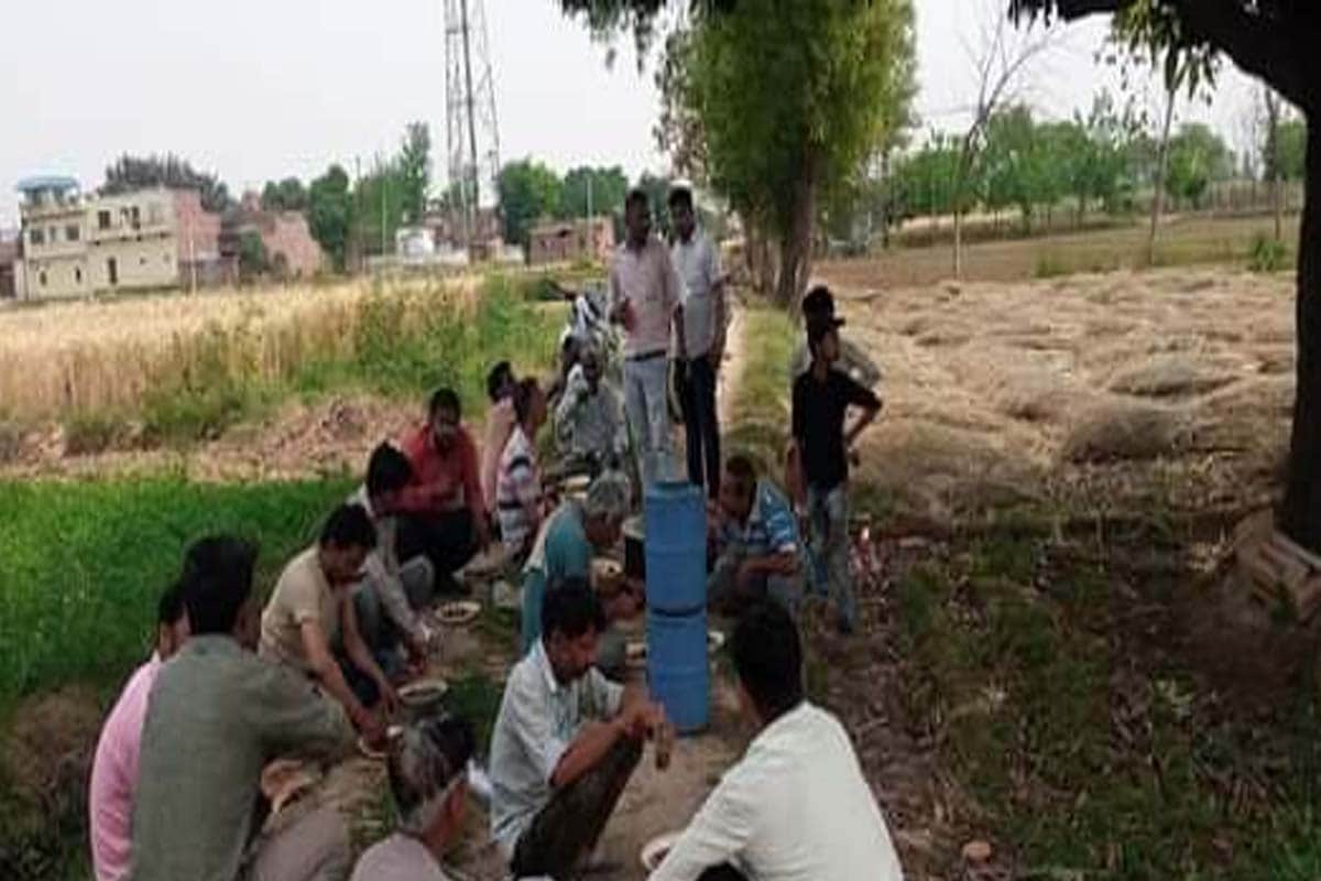 Panchayat elections intensified, davat  starts, liquor party being given in fields