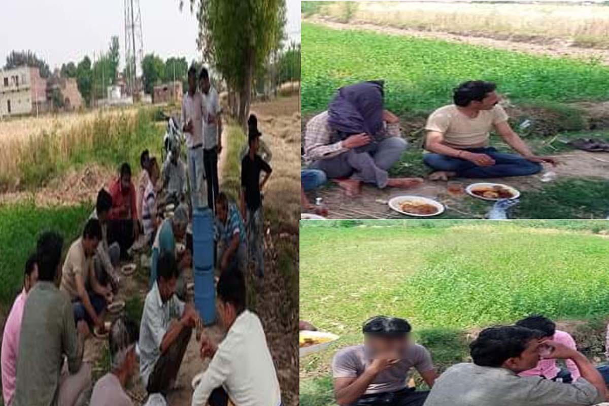 Panchayat elections intensified, davat  starts, liquor party being given in fields