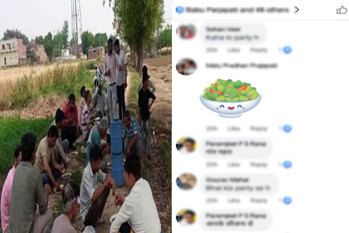 Panchayat elections intensified, davat  starts, liquor party being given in fields