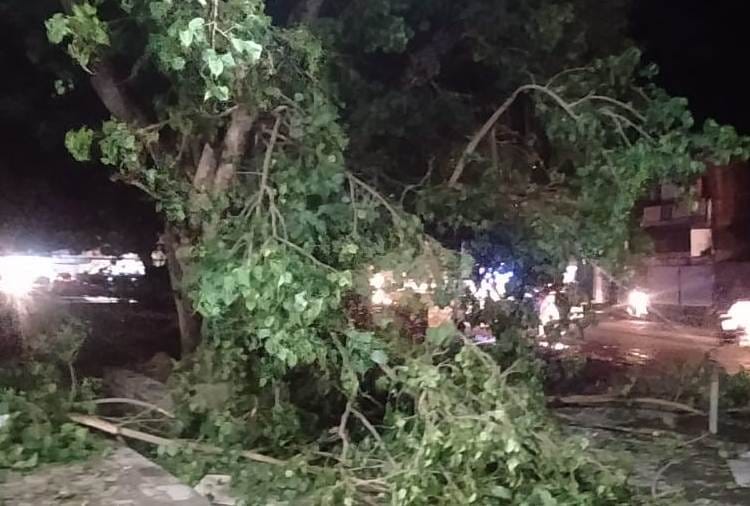 Several Places receive rainfall with storm in Punjab
