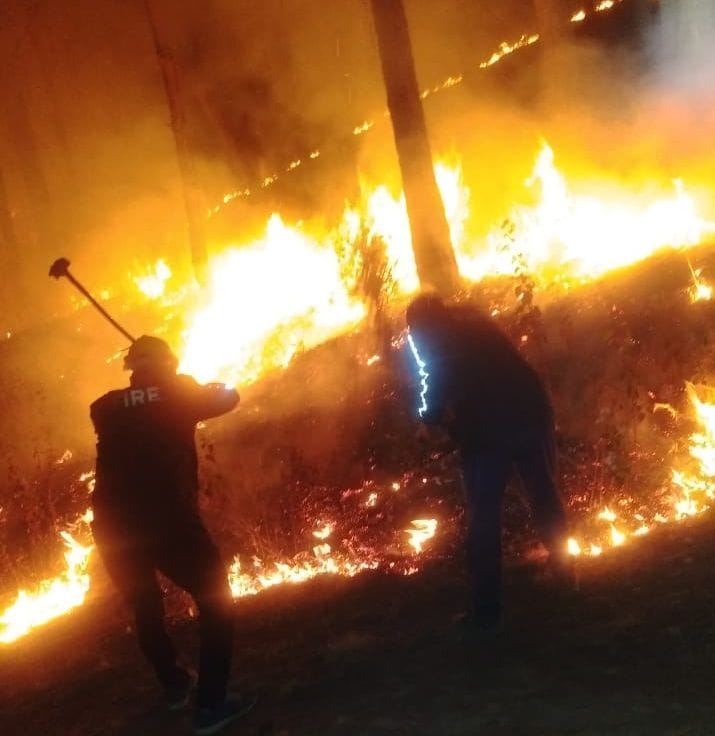 Smoke and mist of wildfires make people breathing difficult