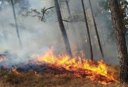 Uttarakhand News: fire at 13 places in forest and 40 hectares of forest area affected