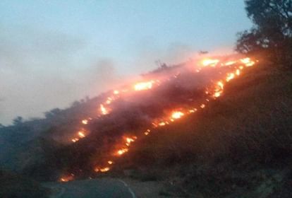 Uttarakhand Forest Fire: बढ़ी चिंता…24 घंटे में सात स्थानों पर धधके जंगल, अब तक हुईं 147 घटनाएं