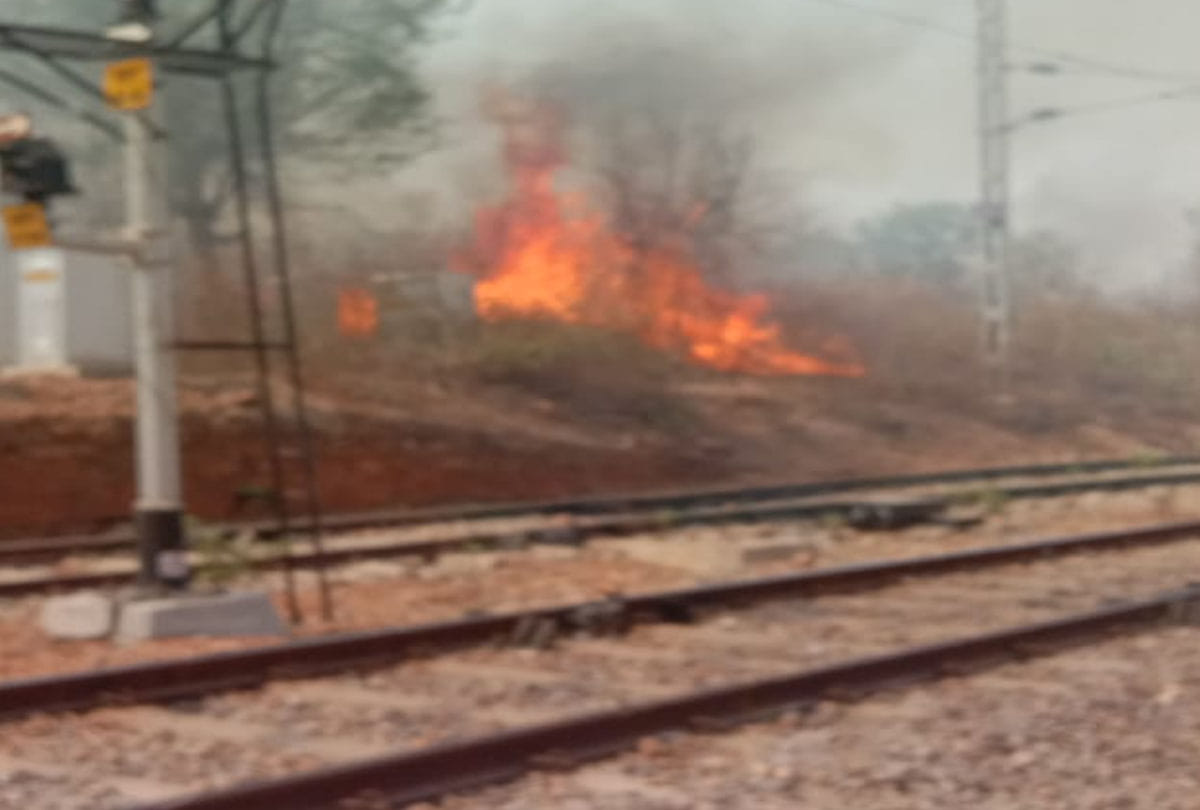 fire in forest in chitrakoot