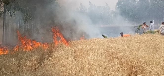 fire on wheat crop