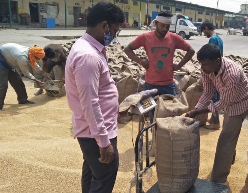 Wheat purchaging