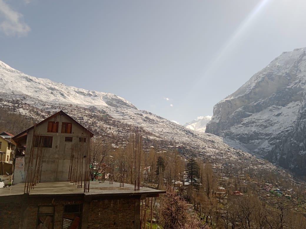 snow in Pangi, crops destryed