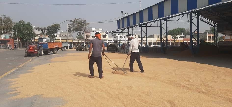 Clouds in the sky, increased concern of farmers and farmers