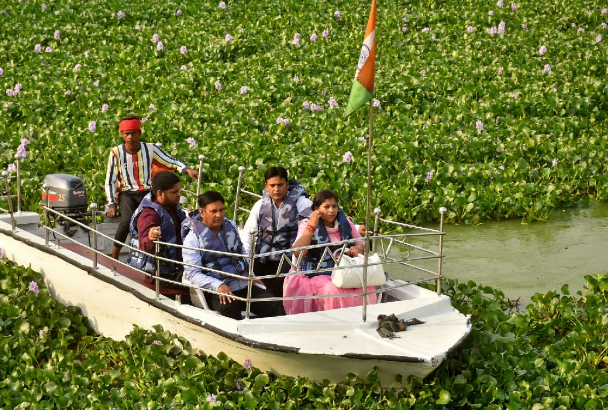 Ramgarh tal water hyacinth Special story from gorakhpur