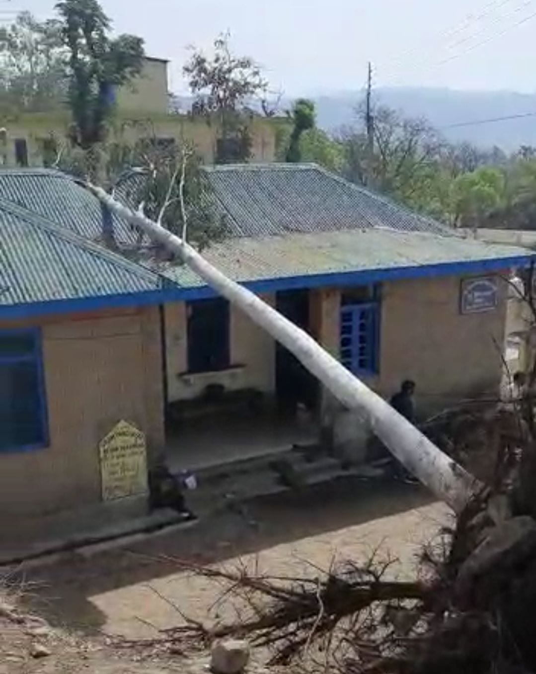 wind distroy trees and roofs of houses