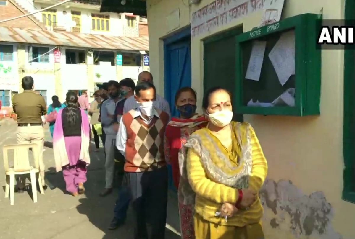 himachal pradesh municipal election 2021 live news updates and panchayat pradhans election polling live updates