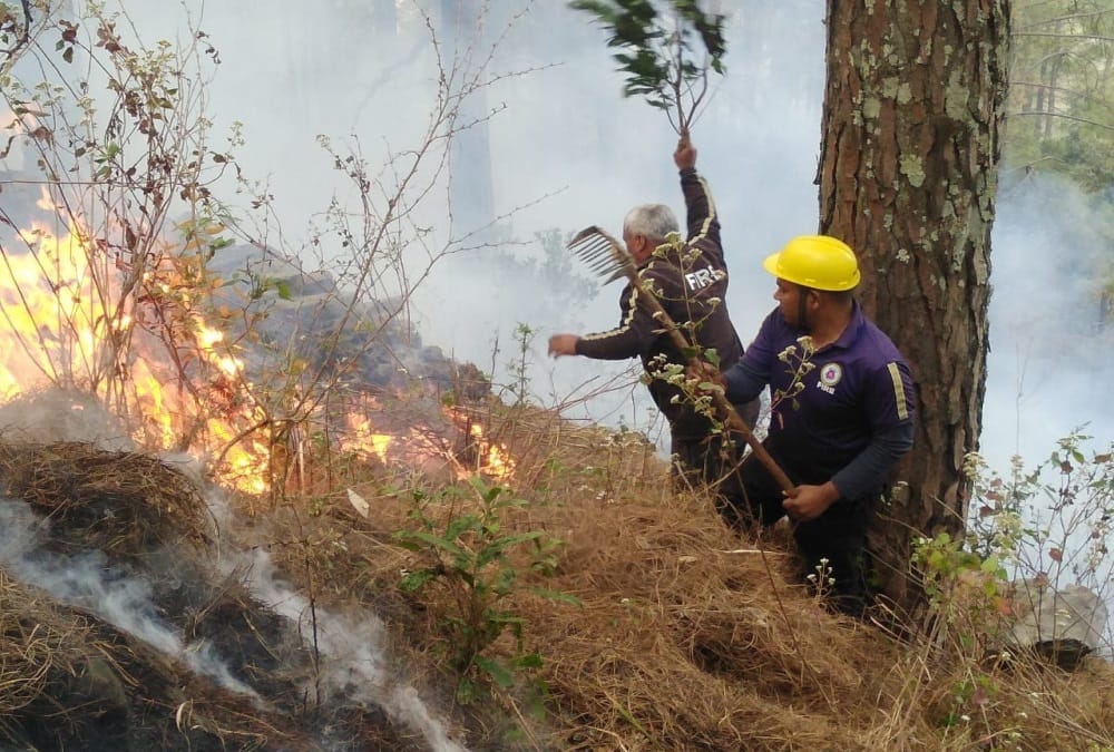 Uttarakhand Forest Fire News Today: Approx 94 hectares forest burned Even Rainfall