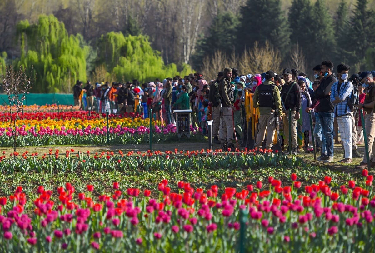 Asias largest tulip garden in full bloom along banks of Dal Lake on foothills of Zabarwan mountains in Srinagar