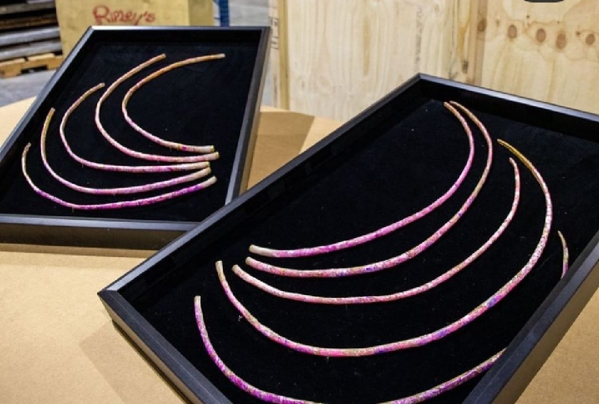 World's longest nail-keeping woman Ayanna cuts her nail Guinness worlds record shared the video