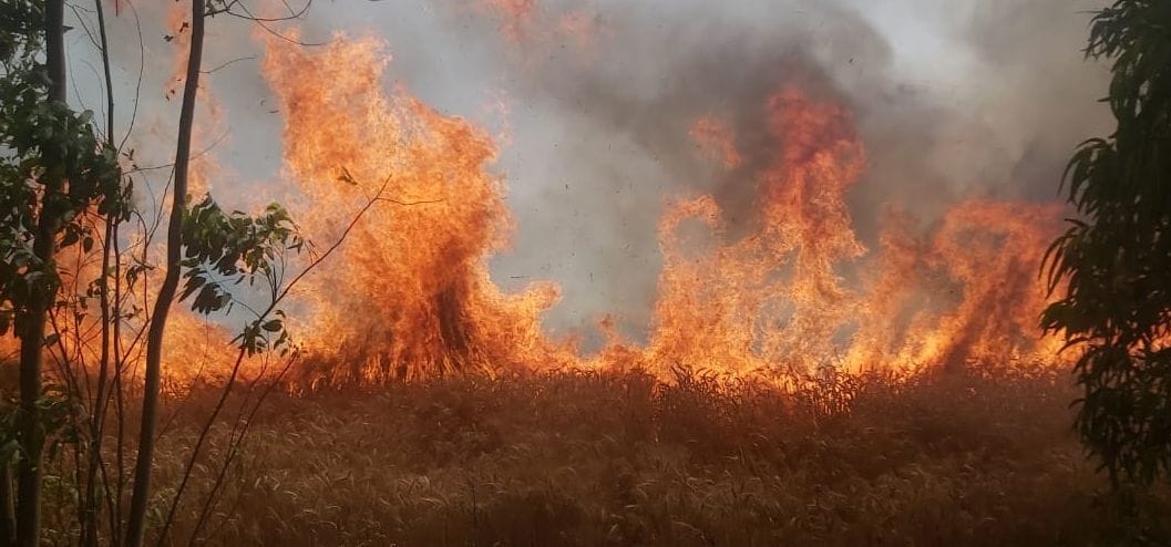 fire on crop