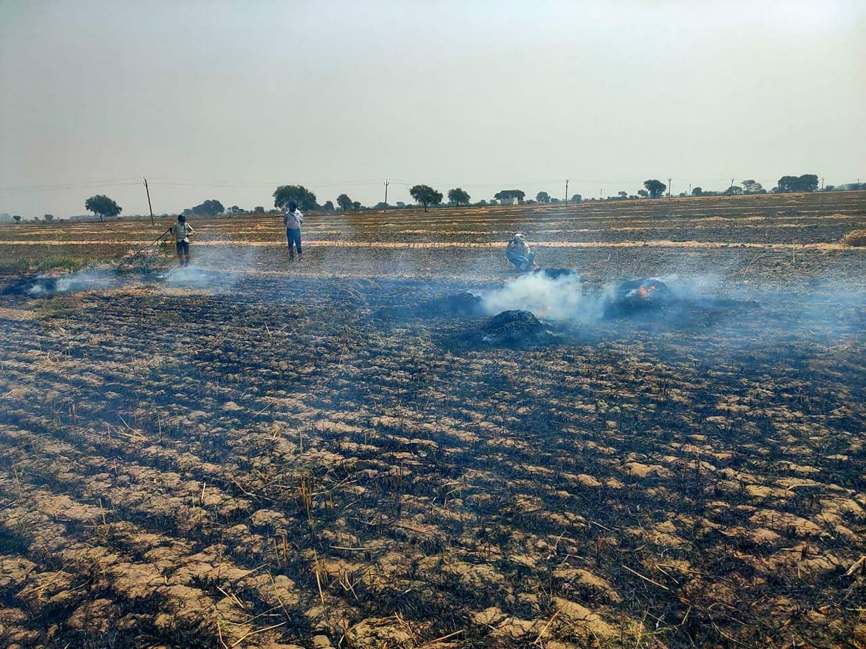 Fault in Kadaura And Ata led to a crop of ashes