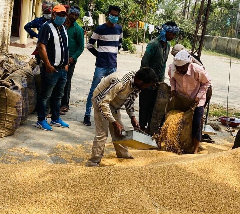 Wheat purchasing starts on the center