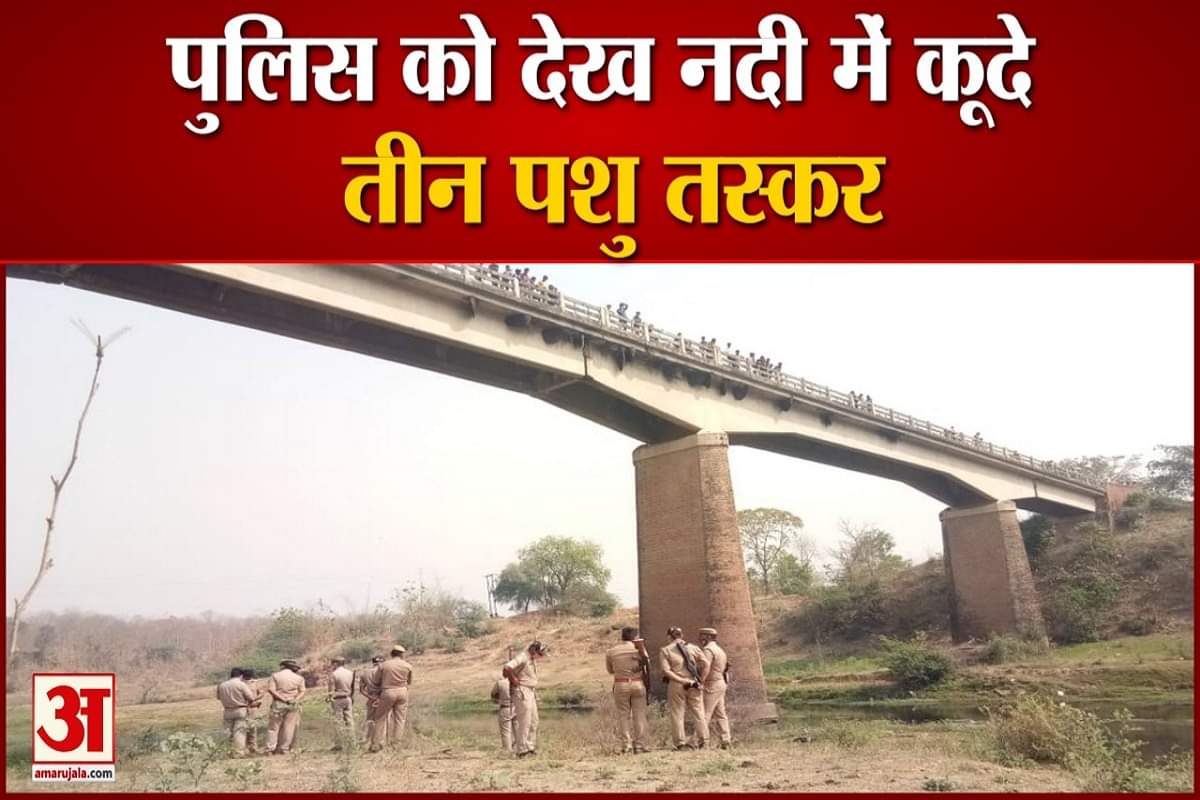 पुल से कूजे तीन पशु तस्कर।