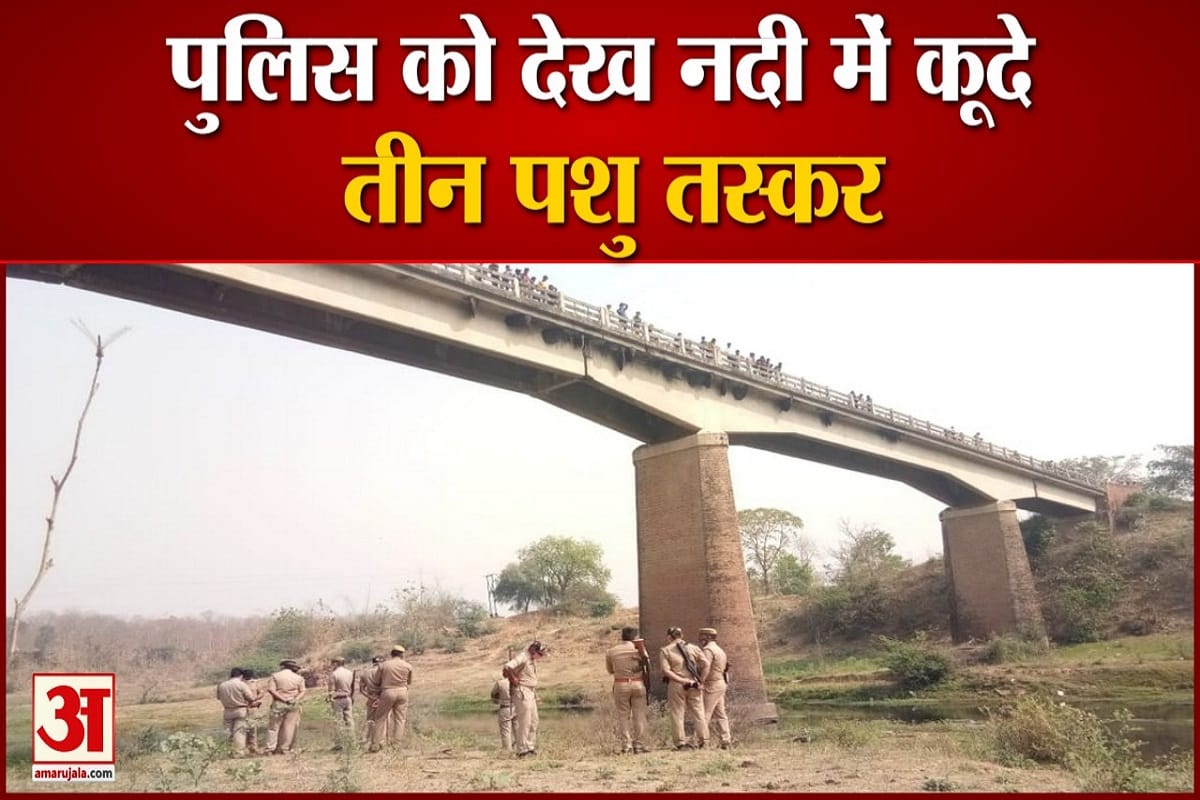 पुल से कूजे तीन पशु तस्कर।