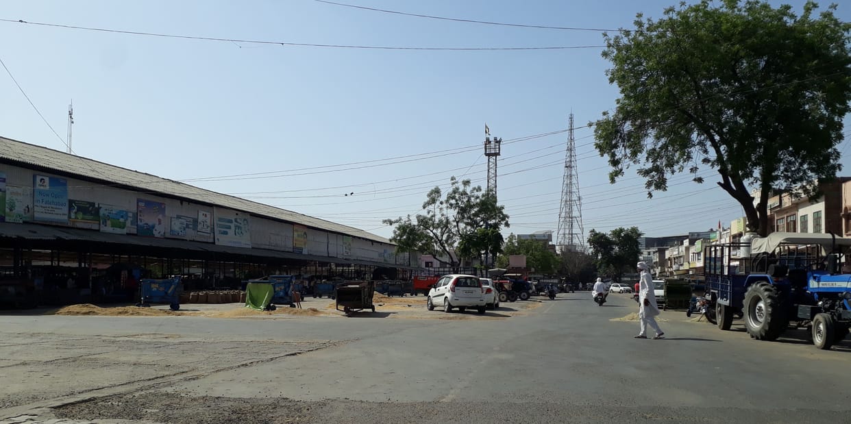 1400 of the district continued on strike, wheat could not be procured in mandis