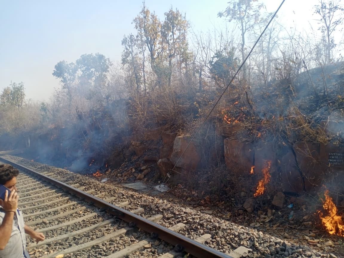 Up Board,village,train,MP,forest