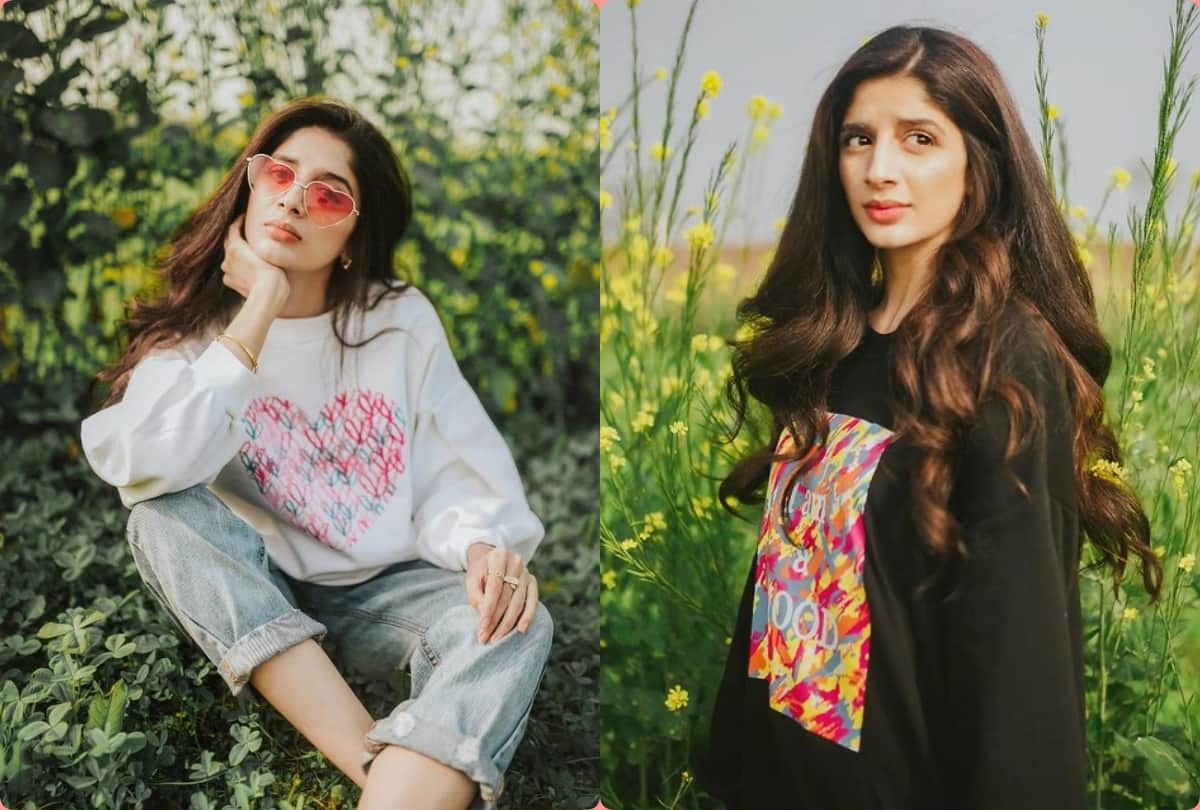 pakistani actresses flop in indian film industry Veena Malik to Meesha Shafi and Zeba Bakhtiar