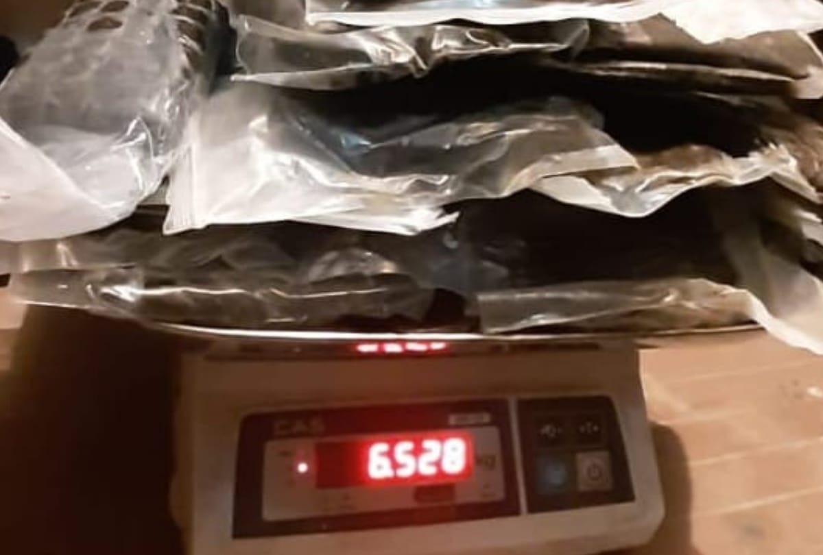 youth arrested with six kg charas in kullu himachal pradesh